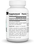 L-Carnitina 500 mg, 60 cápsulas