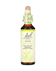 Remedios florales originales, Oliva 20 ml