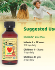 Zinc Plus, 4 Oz
