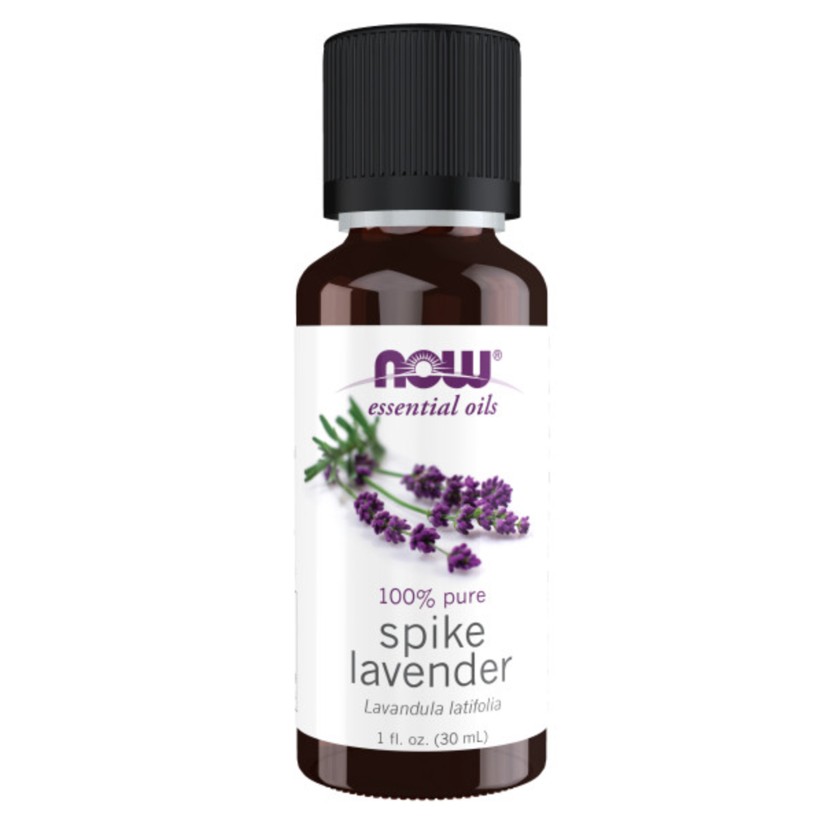 Spike Lavender, 1 Onza