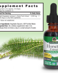 Horsetail Grass, 1 Oz